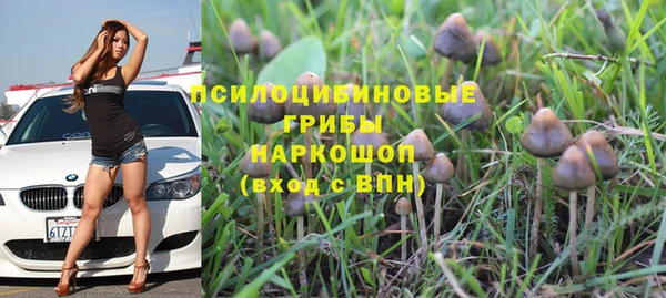 a pvp Магадан