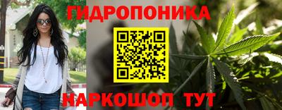 соль ск Кулебаки