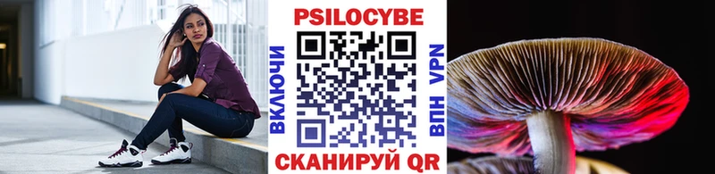 где можно купить   Лабытнанги  Галлюциногенные грибы Psilocybe 