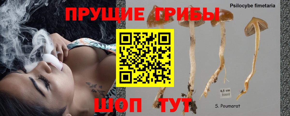 Галлюциногенные грибы мицелий  Псилоцибиновые грибы ЛСД  Лабытнанги  Вход с VPN 